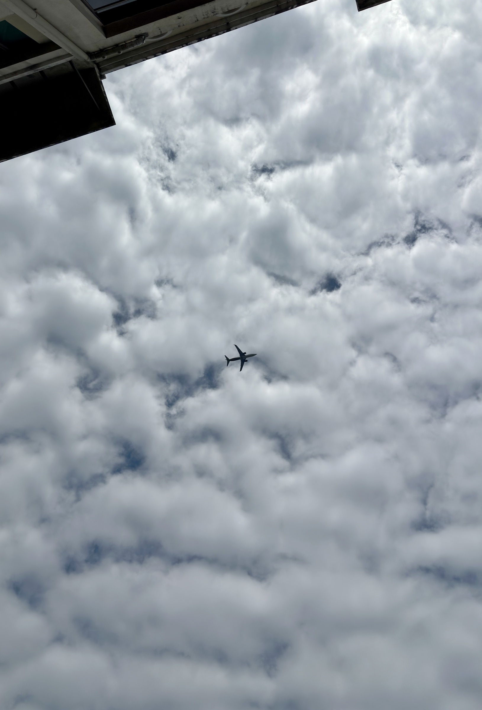 plane-on-cotton-candy