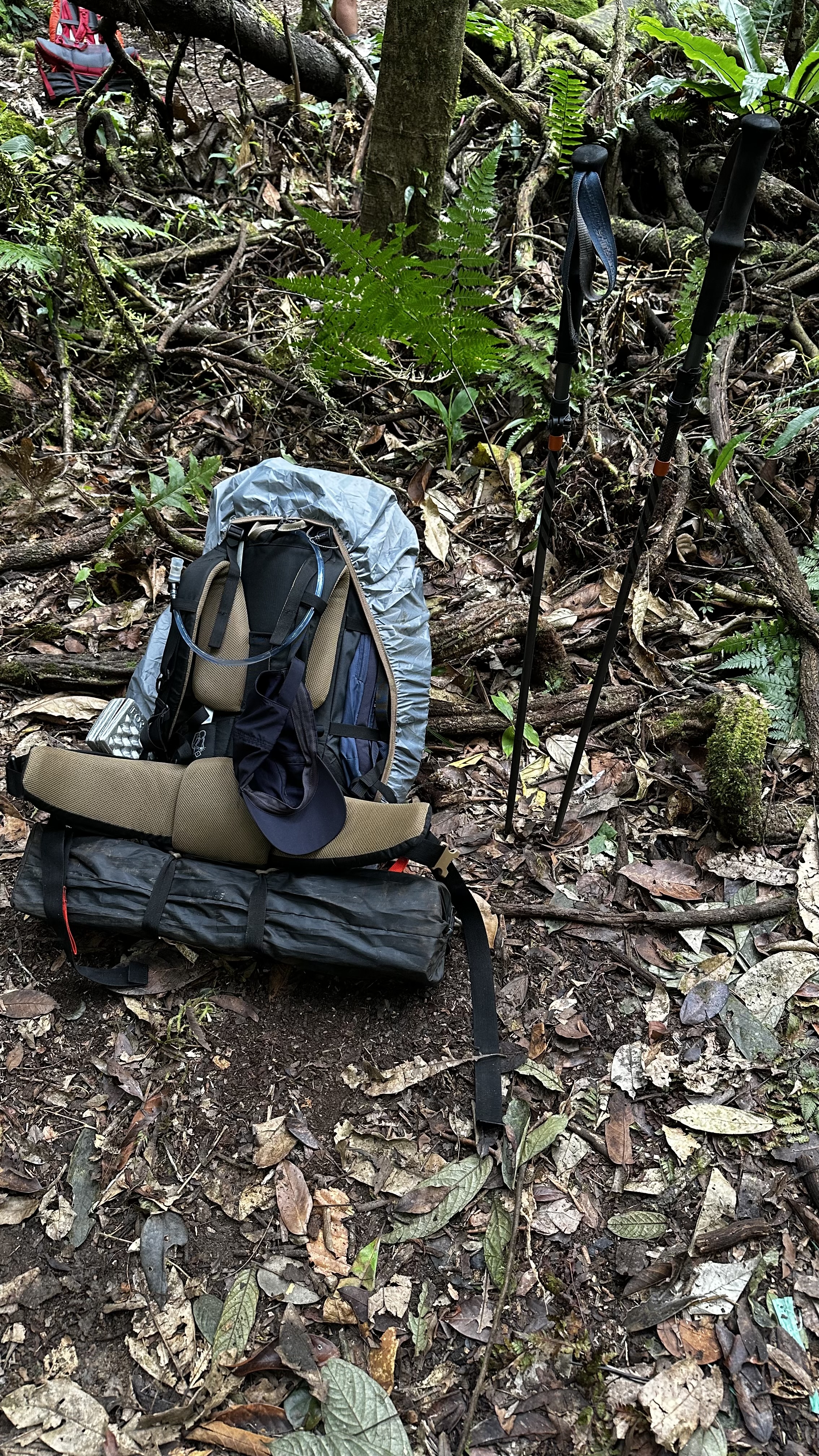 backpack-and-hiking-poles