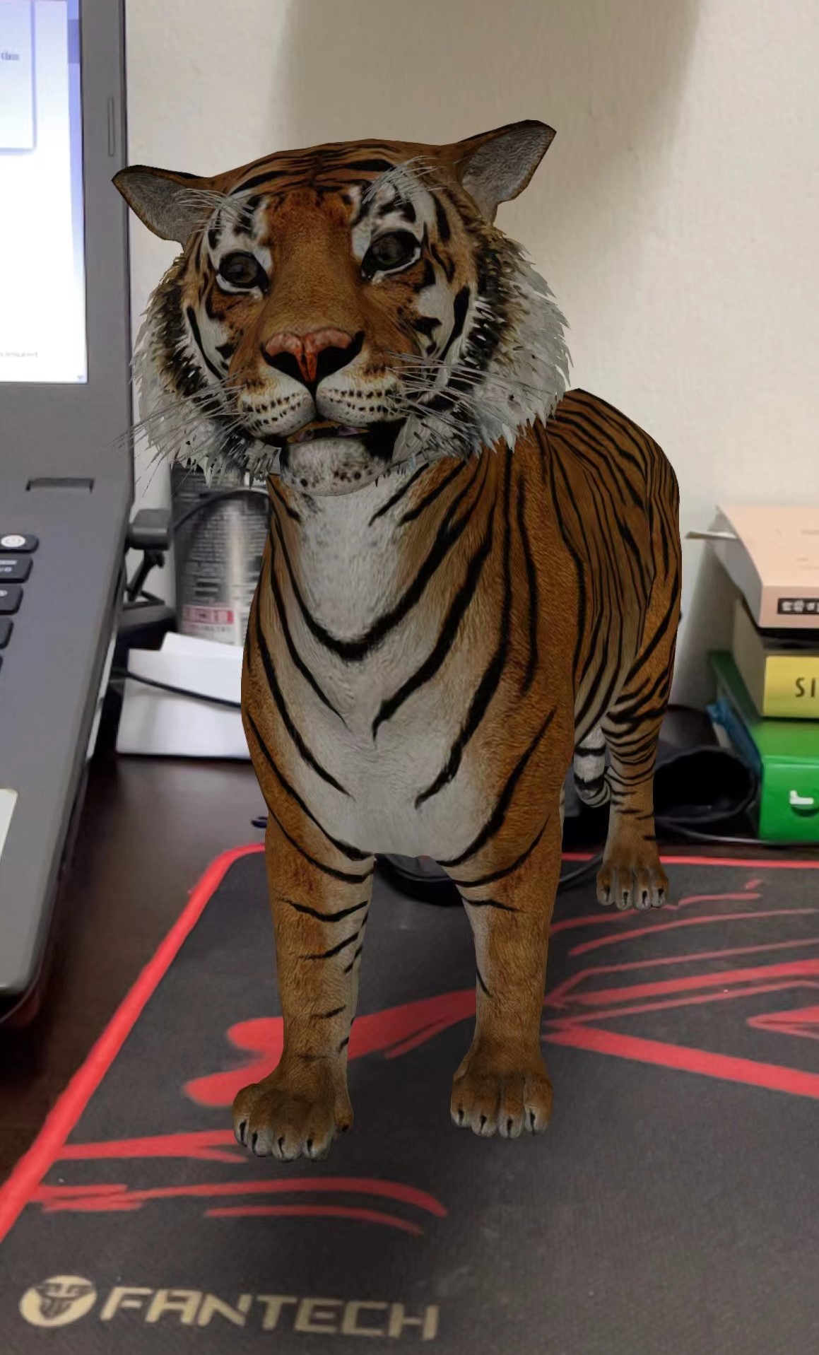 AR Tiger