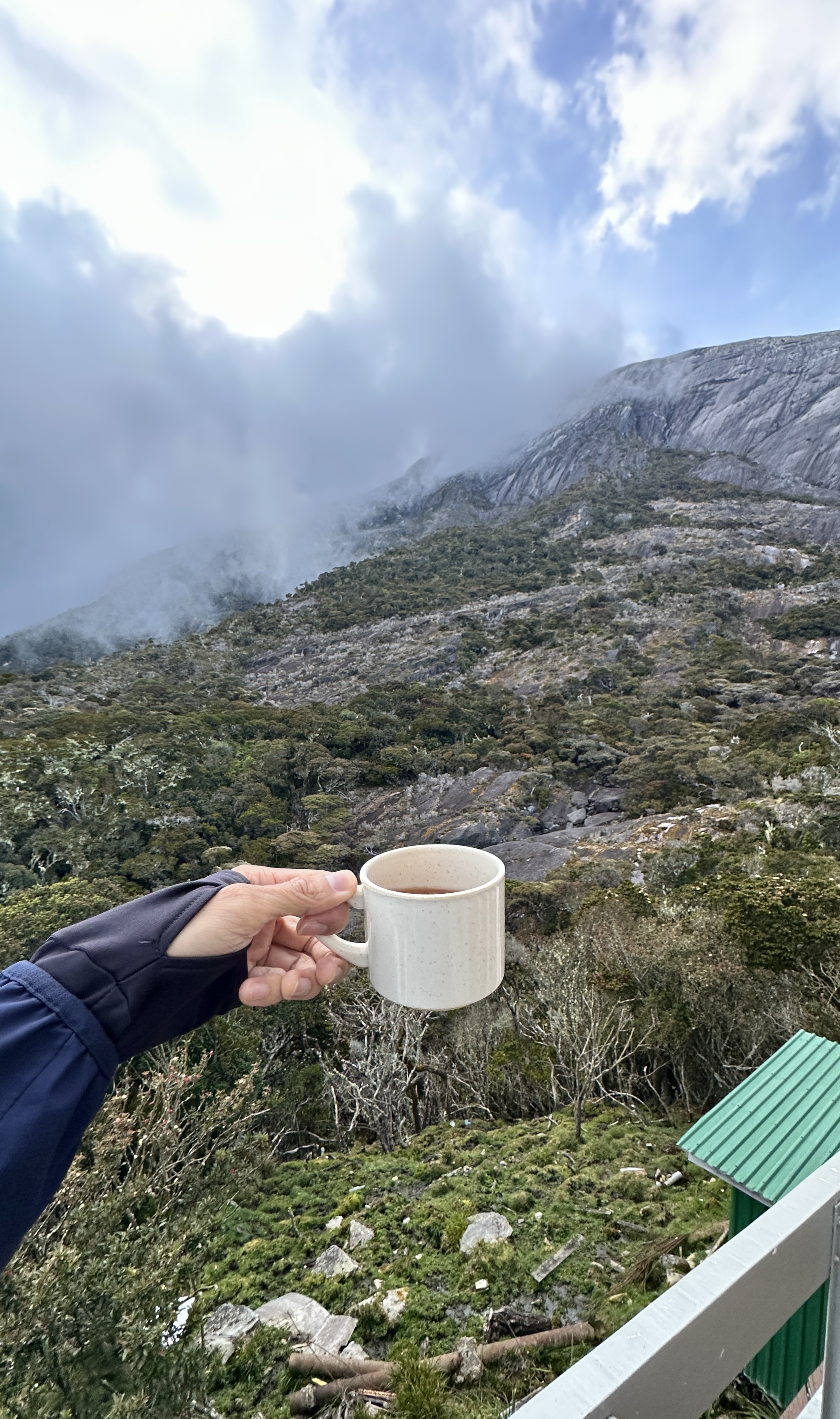 tea