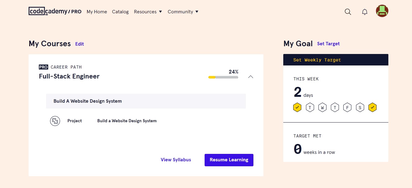 Codecademy course interface