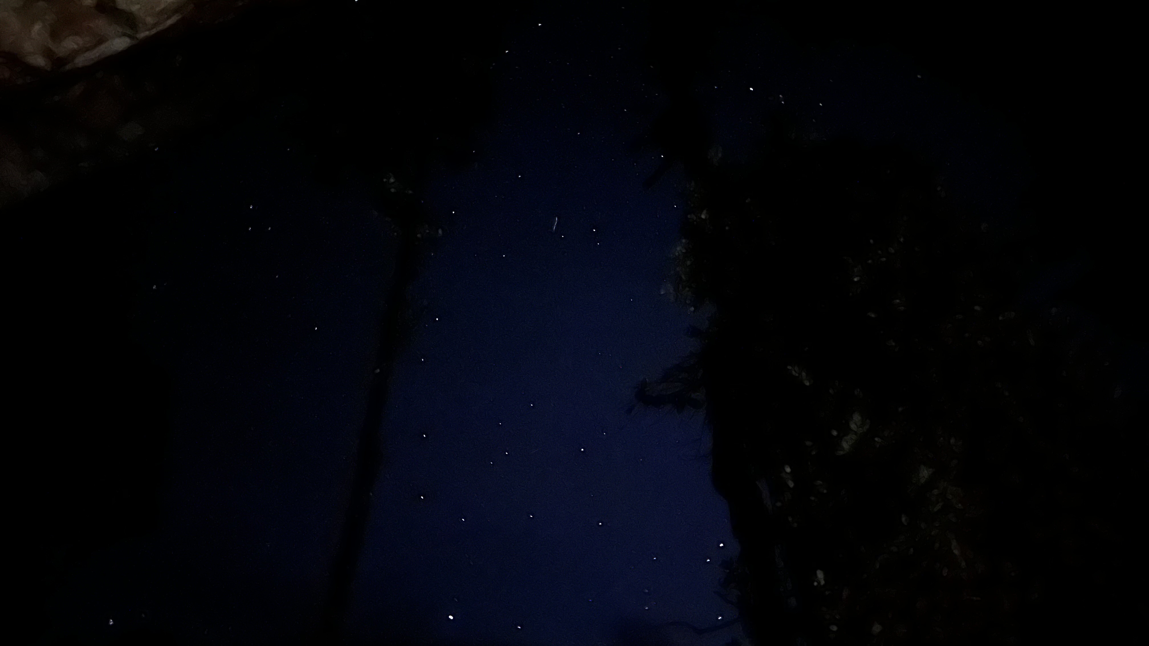 starry-night-sky