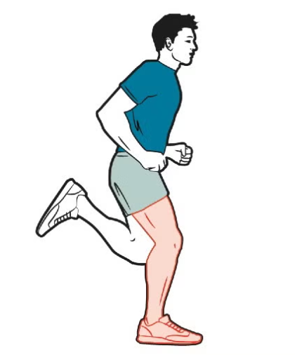 Runner at full ground contact