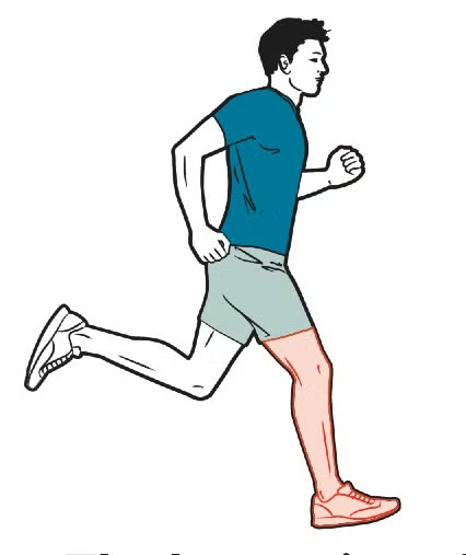 Runner at initial ground contact