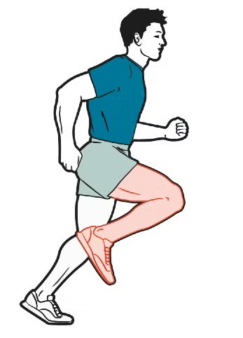 Runner during swing with thigh raised