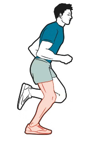 Runner at toe-off with trailing leg extended
