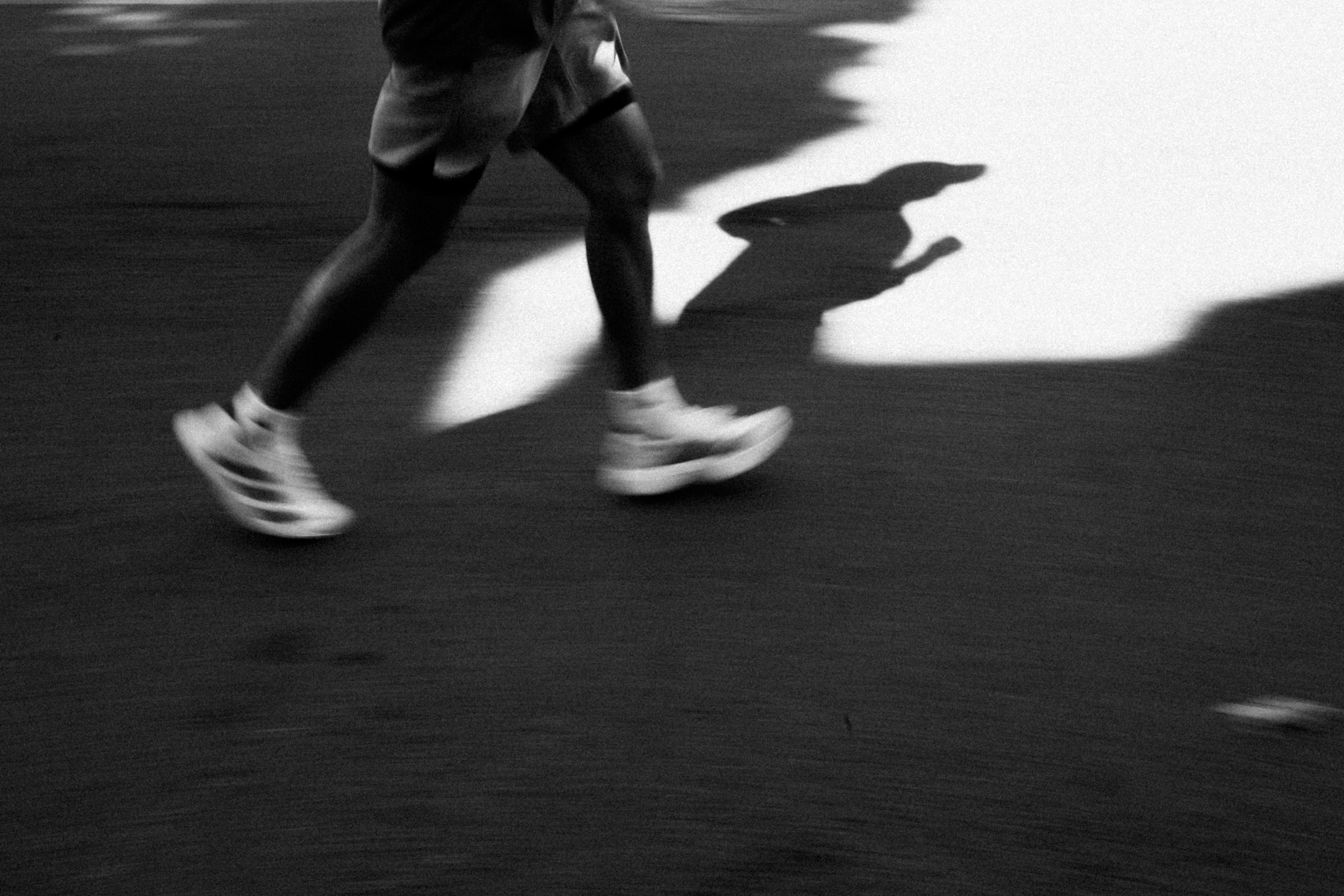 Runner on a tree-lined path — Pacey's race-readiness companion