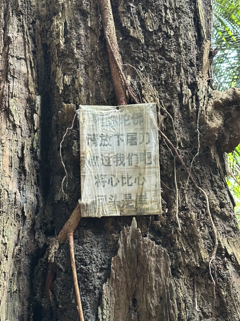 tree sign